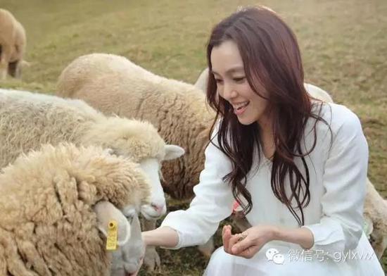 明星旅行糗事一籮筐 總有一個萌到你！