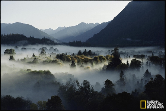 奧林匹克國家公園，華盛頓州攝影：Sam Abell，國家地理創(chuàng)意版