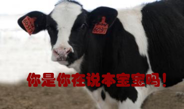 關(guān)我什么事！