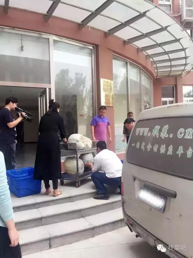 找菜網認購百萬斤冬瓜，解農戶燃眉之急