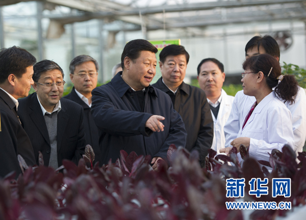  27日下午，習(xí)近平在山東省農(nóng)業(yè)科學(xué)院智能化溫室了解農(nóng)業(yè)科技創(chuàng)新情況。
