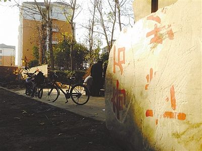 昨日，“上海奇石盆景博物館”原址上，已矗立起小區(qū)樓盤，而刻著博物館名的巨石，廢棄在一旁。本版圖片/新京報(bào)記者 張永生 攝