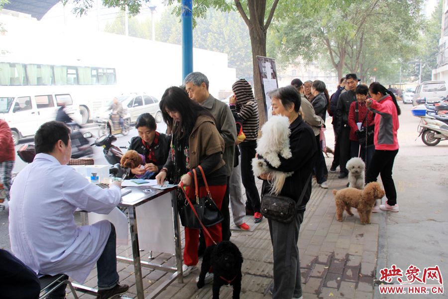 早上8點多，鄭州城市養(yǎng)犬金水區(qū)辦證點已經(jīng)排起了長隊