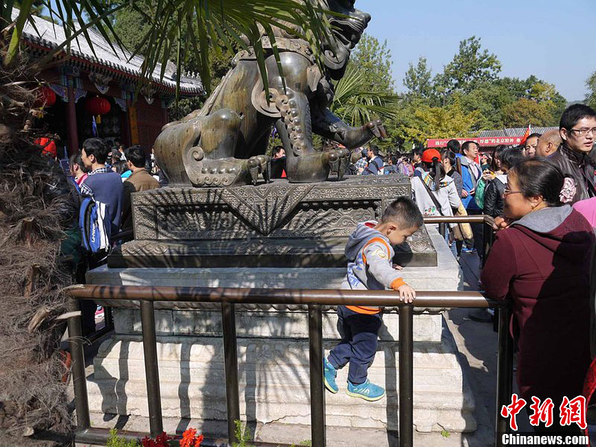 10月26日上午10點(diǎn)多，北京香山路賞紅客摩肩接踵
