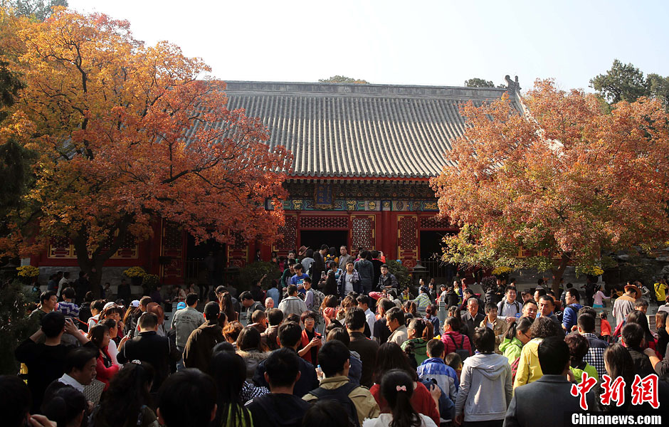 　10月26日，北京香山公園內(nèi)游客摩肩接踵。