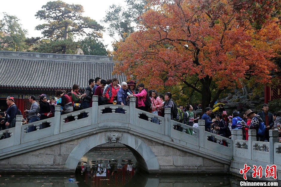 　10月26日，北京香山公園內(nèi)游客摩肩接踵。