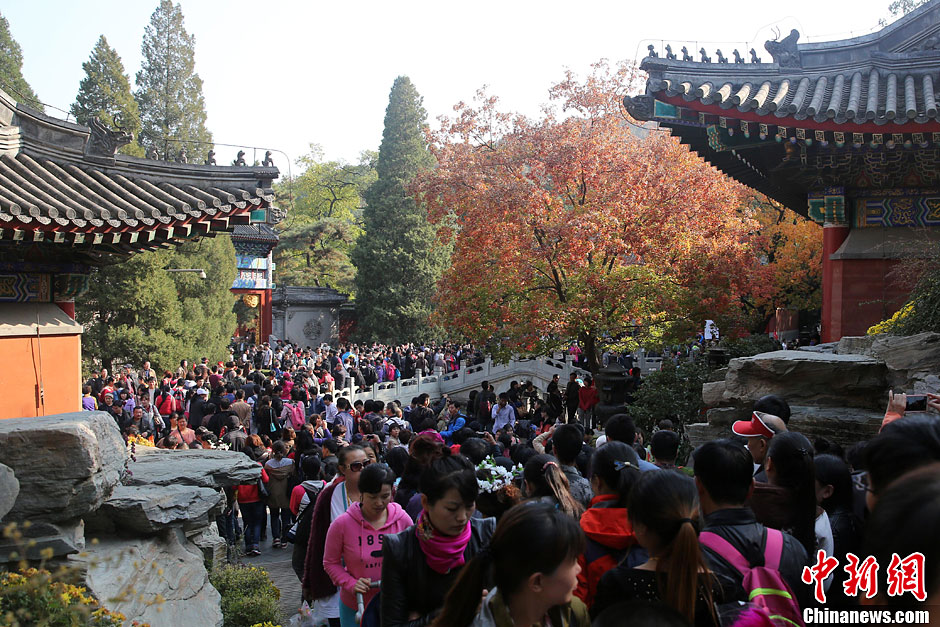 　10月26日，北京香山公園內(nèi)游客摩肩接踵。