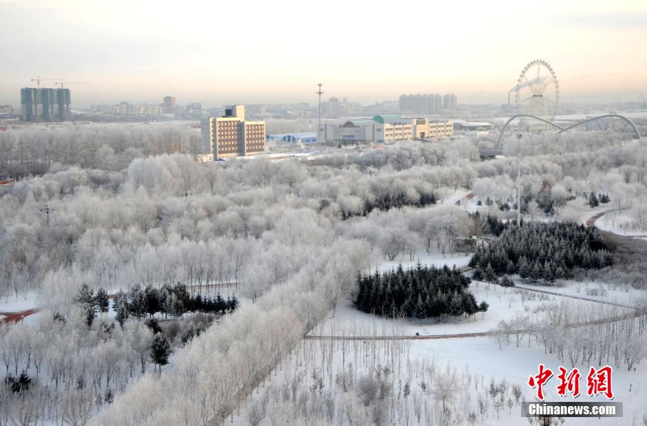 12月10日,受降溫天氣影響,黑河市黑龍江江畔出現(xiàn)綿延數(shù)公里的霧凇景觀。