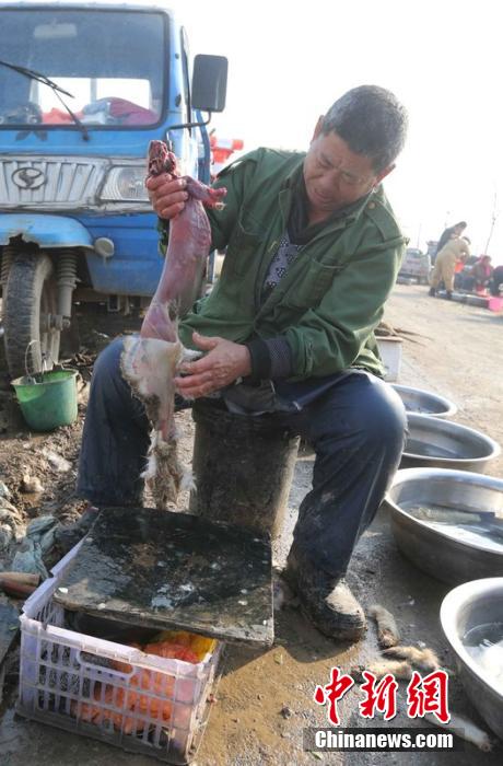圖為12月1日，104國(guó)道靜?？h城附近，顧客挑好后，商販拎著死兔將皮完整地扒下來(lái)。田寶希 攝 圖片來(lái)