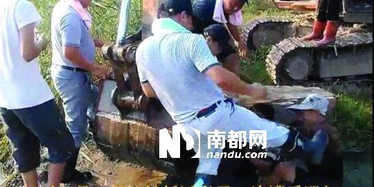 幾名戴黑帽的男子將一名老人推入水塘，后反復(fù)腳踹。