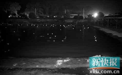 昨日，西湖村鱷魚(yú)養(yǎng)殖場(chǎng)已修復(fù)圍欄。