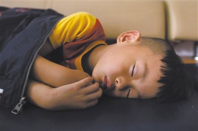 9月6日，等待錄制節(jié)目的多多躺在沙發(fā)上熟睡。新京報(bào)記者 侯少卿 攝