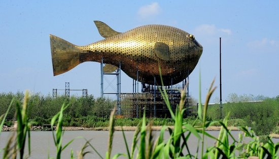 昨天，揚(yáng)中市西沙島，正在施工的河豚塔金光閃閃