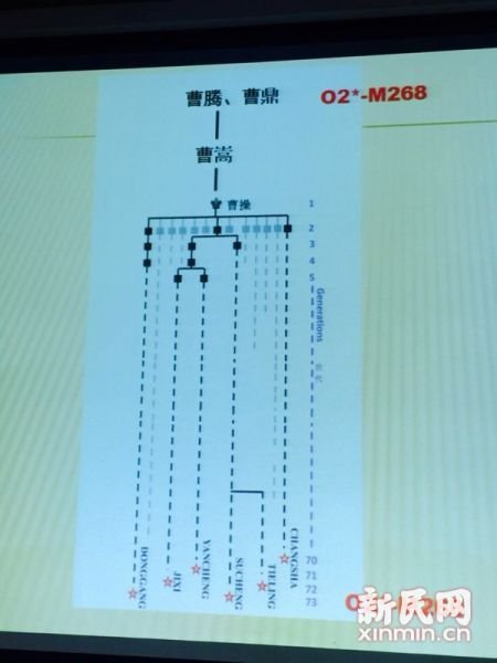 圖說：復旦課題組發(fā)布曹操家族DNA研究結果。新民網(wǎng) 記者 李欣 攝