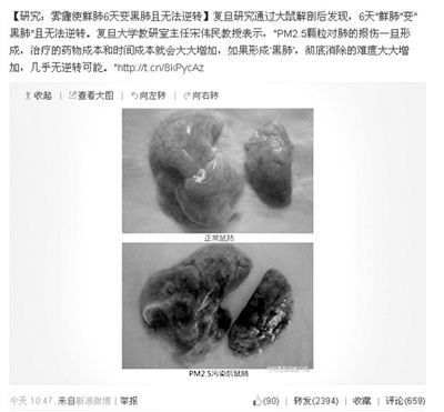昨天，一則“霧霾使鮮肺6天變黑肺”的新聞在網(wǎng)上引發(fā)熱議。網(wǎng)絡(luò)截圖
