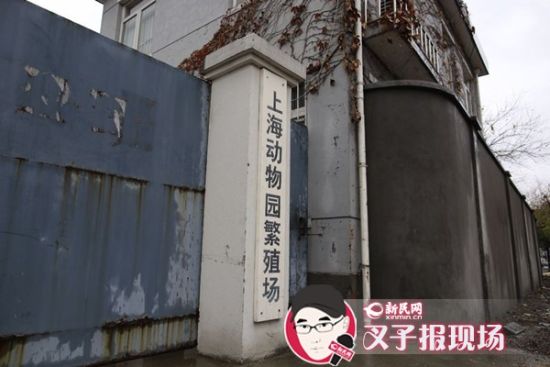 圖說：新民網(wǎng)記者趕到時(shí)，上海動(dòng)物園繁殖場大門緊閉。新民網(wǎng) 記者 蕭君瑋 攝