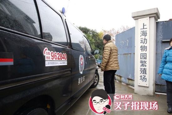 殯葬車到達(dá)現(xiàn)場。新民網(wǎng) 記者 蕭君瑋 攝