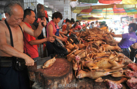 玉林狗肉節(jié)。