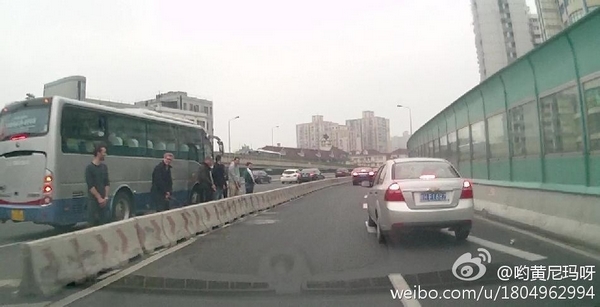 圖說:網(wǎng)友發(fā)布的老外在高架上行為不雅的照片。