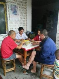 掃水掃不及，胥家鎮(zhèn)柏河村的居民干脆打起了麻將。