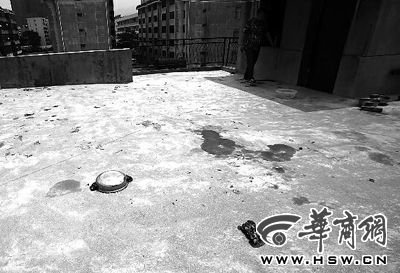 藏獒就養(yǎng)在這個樓頂，孩子從欄桿處墜落 本報記者 趙航 攝