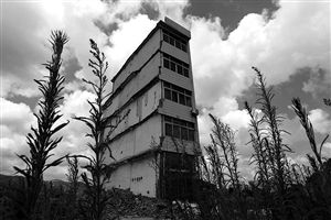 這幢5層的“片片樓”周圍已是一片拆遷后的廢墟，左邊的一堵墻上，不少鋼筋裸露在外面 圖片來源：新華網(wǎng)