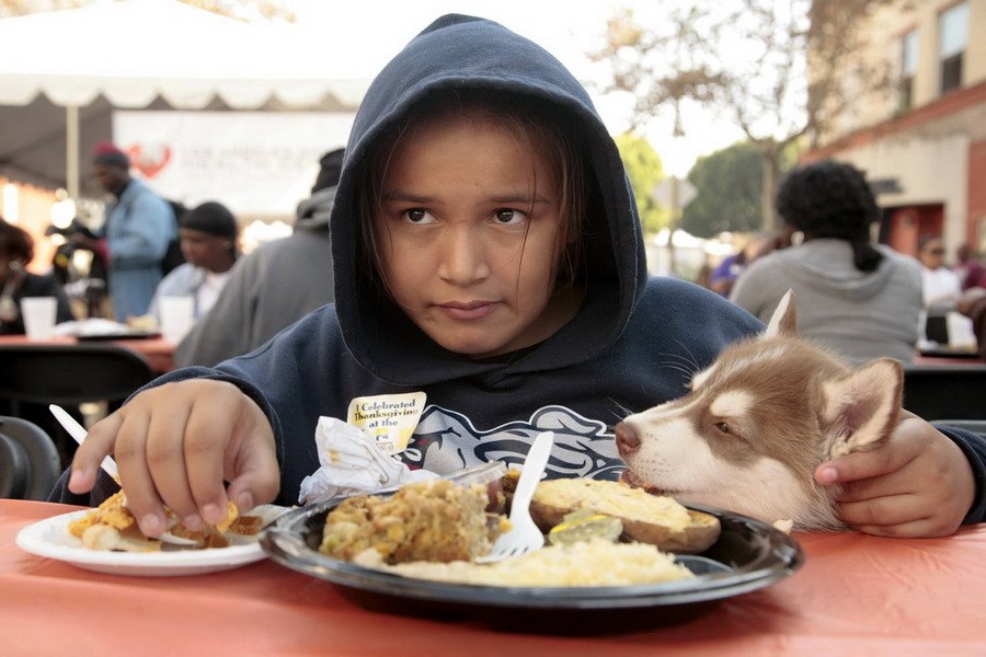 11月21日，加州洛杉磯的游民巷，12歲的堂娜·赫南德茲抱著愛犬“湯米”，安靜地吃著免費的感恩節(jié)飯菜
