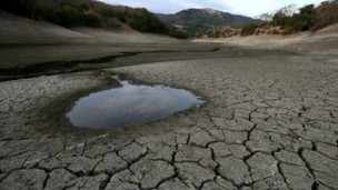 美國(guó)加州干旱加重或停止供水影響2500萬(wàn)人(圖) 美國(guó)加州干旱加重或停止供水影響2500萬(wàn)人(圖)