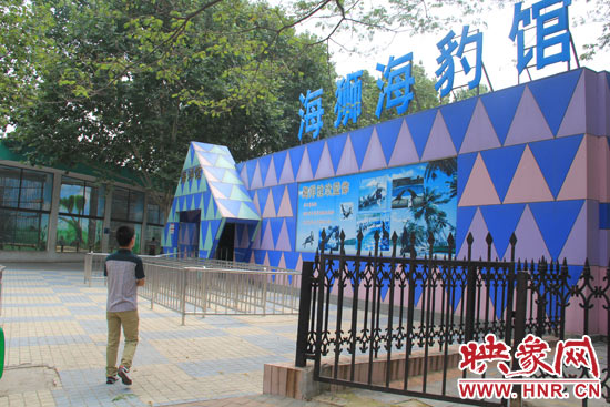 因?yàn)槭侵芤唬嵵菔袆?dòng)物園海洋館的游客并不多。