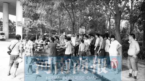 北環(huán)南陽路立交橋下，瓜農(nóng)小秦被打后，附近瓜農(nóng)紛紛圍了上來