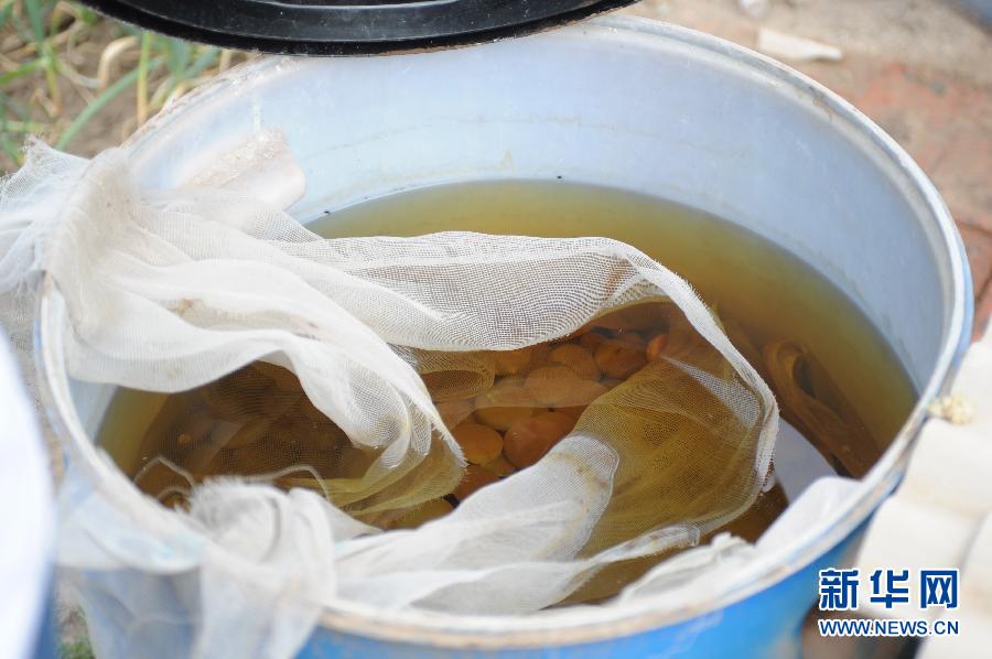 地下水成“綠茶”　污染二十多年該誰治？
