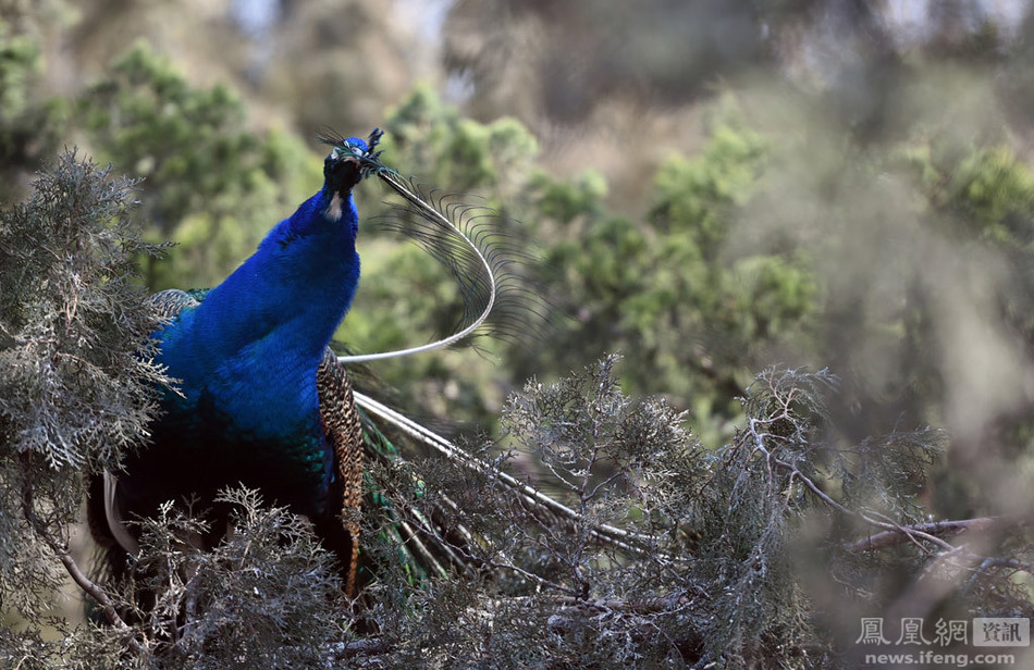 生活在城市 生活在城市