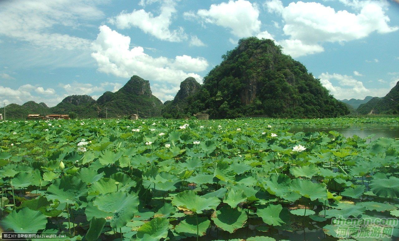 爸爸去哪兒？親密接觸荷花仙子