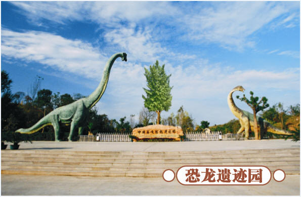 圣誕去哪兒？省內(nèi)歡樂地推薦