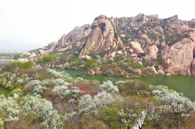 正好清明連谷雨春滿(mǎn)嵖岈花滿(mǎn)山