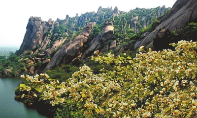 正好清明連谷雨春滿(mǎn)嵖岈花滿(mǎn)山