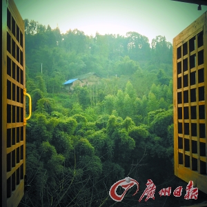 推窗滿目綠樹來(lái) 臥聽靜夜溪流吟