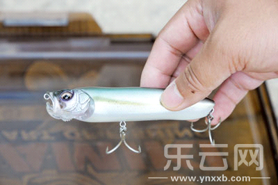 　　又稱擬餌釣魚,起源于歐洲,國內(nèi)翻譯為“路亞”。