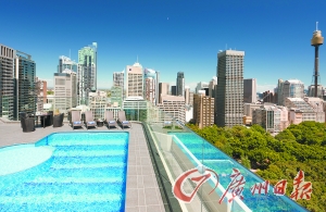 酒店屋頂游泳池俯瞰公園美景。