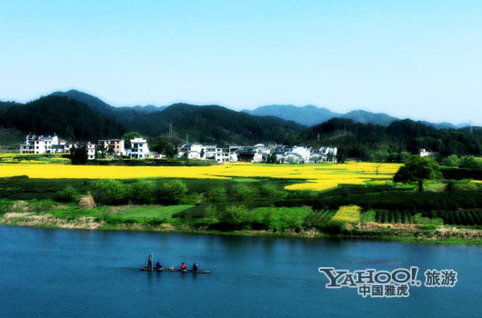 　　婺源號稱是中國最美麗的鄉(xiāng)村,她最美麗的季節(jié)是三月中下旬。(圖片來源:CFP)