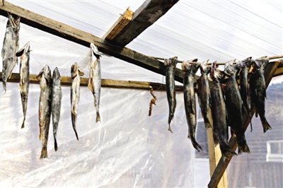 長(zhǎng)白山腳下一家小餐館內(nèi)晾曬的冷水魚。