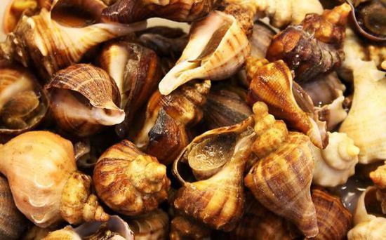 秋季最適合吃的海鮮是這10種 你吃對(duì)了嗎？