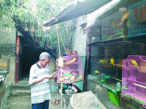 郭家大院的看護(hù)人郭天育老人在給鸚鵡喂食，對大院，他很不舍。
