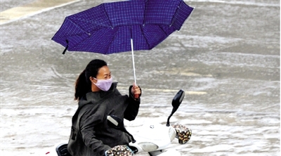 昨日下午，隴海路上，雨中風(fēng)大，一位女士的傘被吹翻了。