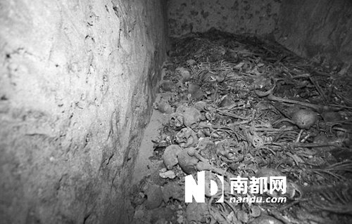 　5月29日，在以色列特拉維夫市雅法地區(qū)，一處集體墳?zāi)贡话l(fā)現(xiàn)。
