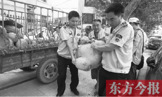 昨日，鄭州金水區(qū)執(zhí)法局的執(zhí)法隊員捐錢買瓜，替瓜農(nóng)解憂
