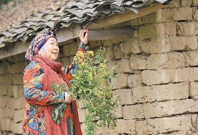 公式“時尚奶奶”的賞花照，收獲了好多人的點(diǎn)贊。 受訪者供圖