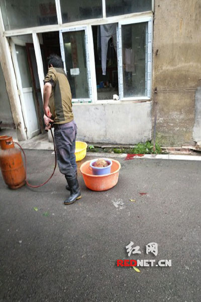 5月8日，男子在校園里殺狗，地上殘留一塊血跡。目擊者供圖。