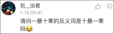 鶴立雞群？雞立鶴群！