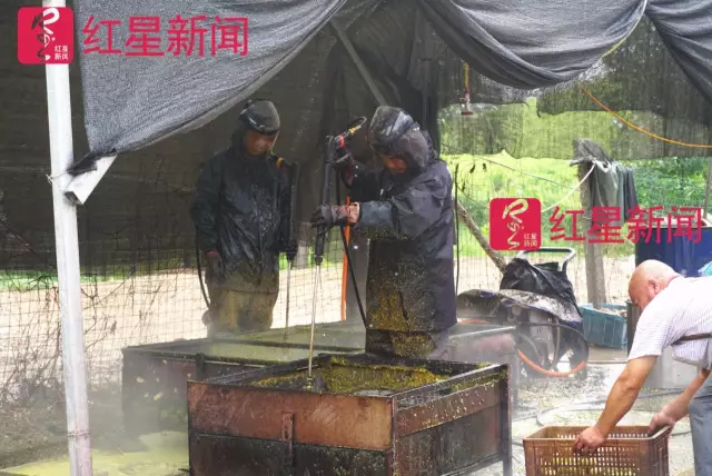 文玩核桃遇冷由幾萬一對降到5元沒人要？商戶否認